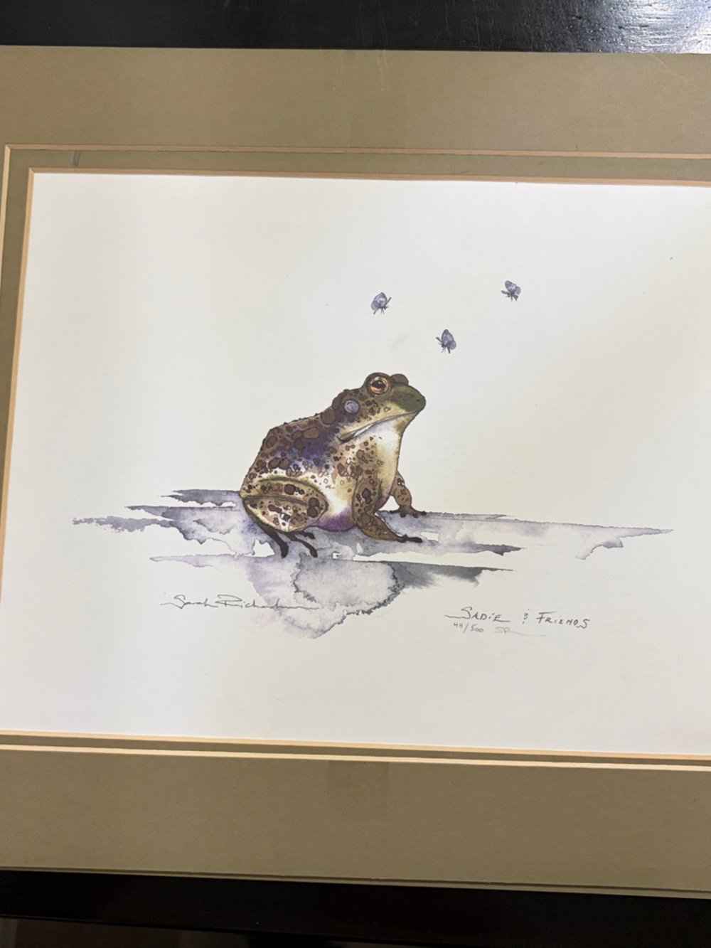 Frog Art